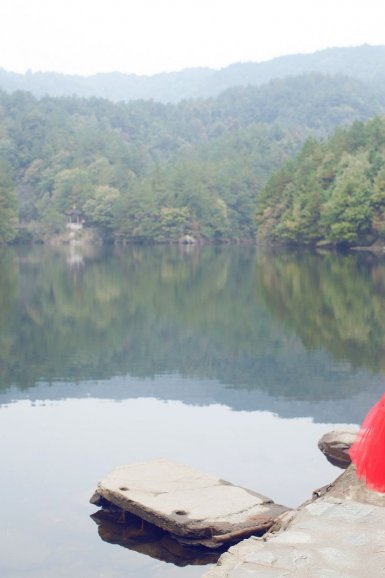 牛奶果种植利润分析(附种植技术)-体育赛事(图2) 亚博APP下载